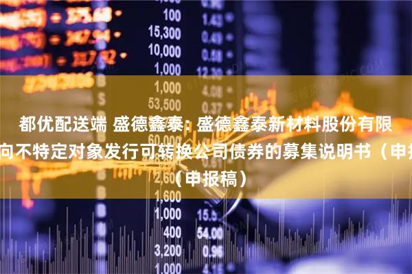都优配送端 盛德鑫泰: 盛德鑫泰新材料股份有限公司向不特定对象发行可转换公司债券的募集说明书（申报稿）