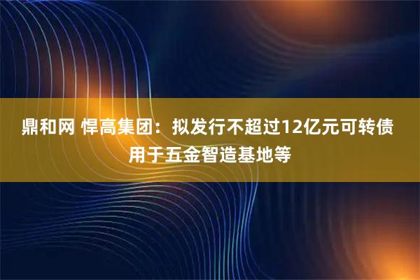 鼎和网 悍高集团：拟发行不超过12亿元可转债 用于五金智造基地等