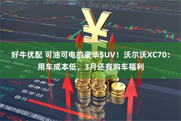 好牛优配 可油可电的豪华SUV！沃尔沃XC70：用车成本低，3月还有购车福利