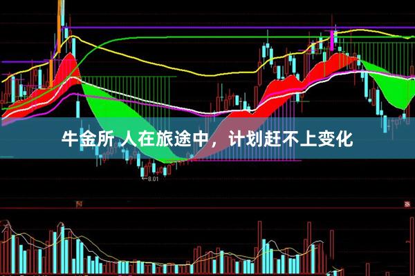 牛金所 人在旅途中，计划赶不上变化