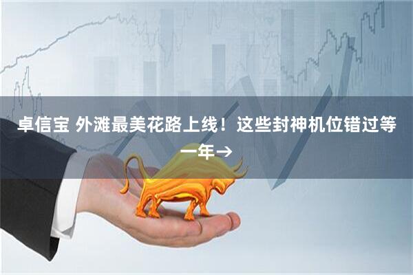 卓信宝 外滩最美花路上线！这些封神机位错过等一年→