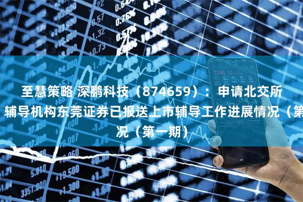 至慧策略 深鹏科技（874659）：申请北交所上市，辅导机构东莞证券已报送上市辅导工作进展情况（第一期）