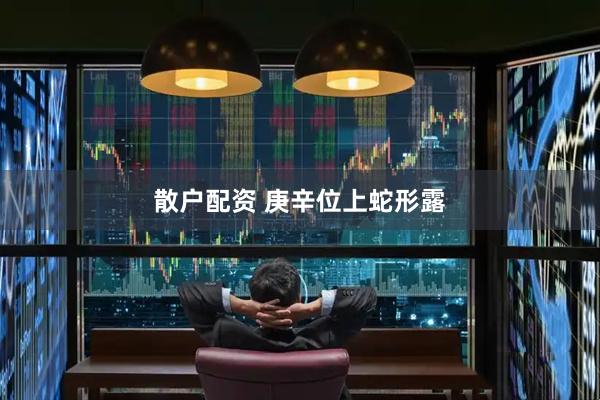 散户配资 庚辛位上蛇形露