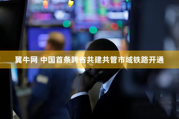 翼牛网 中国首条跨省共建共管市域铁路开通