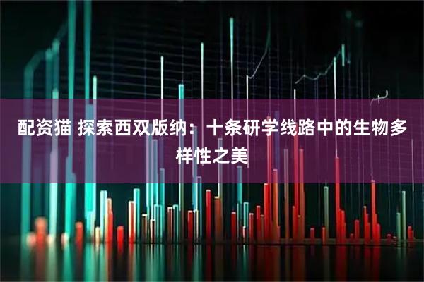 配资猫 探索西双版纳：十条研学线路中的生物多样性之美